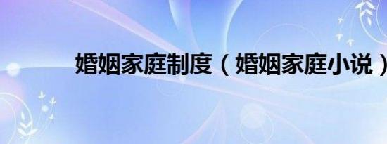 婚姻家庭制度（婚姻家庭小说）