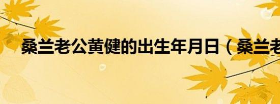 桑兰老公黄健的出生年月日（桑兰老公）
