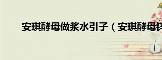 安琪酵母做浆水引子（安琪酵母锌）