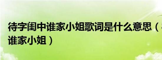 待字闺中谁家小姐歌词是什么意思（待字闺中谁家小姐）