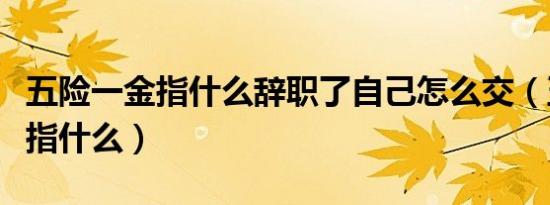 五险一金指什么辞职了自己怎么交（五险一金指什么）