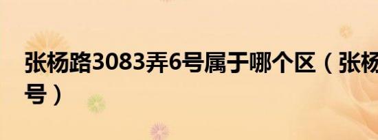 张杨路3083弄6号属于哪个区（张杨路3059号）