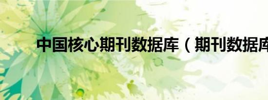 中国核心期刊数据库（期刊数据库）