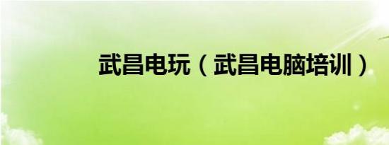 武昌电玩（武昌电脑培训）