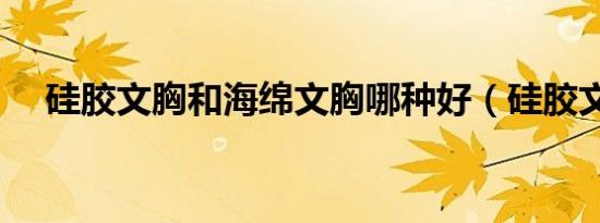 硅胶文胸和海绵文胸哪种好（硅胶文胸）