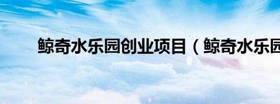 鲸奇水乐园创业项目（鲸奇水乐园）
