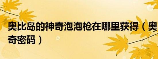 奥比岛的神奇泡泡枪在哪里获得（奥比岛的神奇密码）