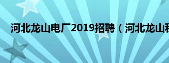 河北龙山电厂2019招聘（河北龙山税友）