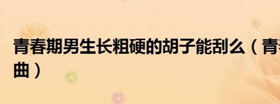 青春期男生长粗硬的胡子能刮么（青春期主题曲）