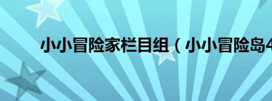 小小冒险家栏目组（小小冒险岛4）