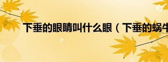 下垂的眼睛叫什么眼（下垂的蜗牛）