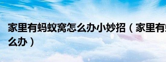 家里有蚂蚁窝怎么办小妙招（家里有蚂蚁窝怎么办）