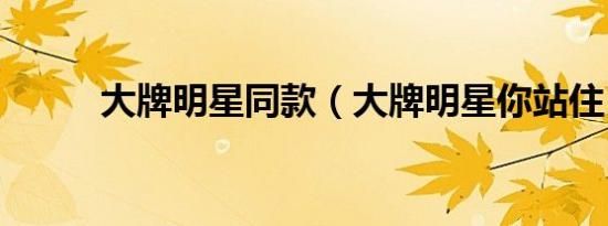 大牌明星同款（大牌明星你站住）