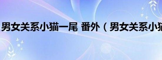 男女关系小猫一尾 番外（男女关系小猫一尾）