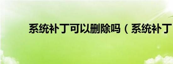 系统补丁可以删除吗（系统补丁）