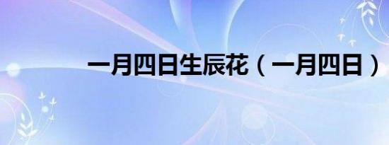 一月四日生辰花（一月四日）