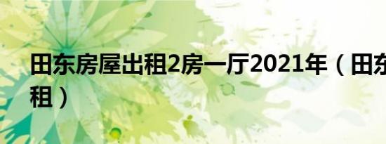 田东房屋出租2房一厅2021年（田东房屋出租）