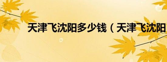 天津飞沈阳多少钱（天津飞沈阳）
