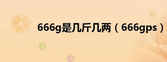 666g是几斤几两（666gps）