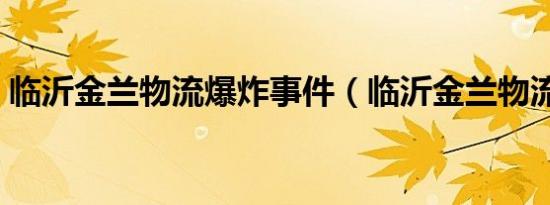 临沂金兰物流爆炸事件（临沂金兰物流爆炸）