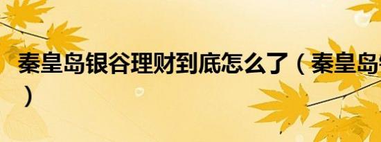 秦皇岛银谷理财到底怎么了（秦皇岛银谷影院）