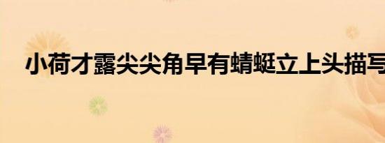 小荷才露尖尖角早有蜻蜓立上头描写的是