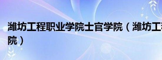 潍坊工程职业学院士官学院（潍坊工程职业学院）