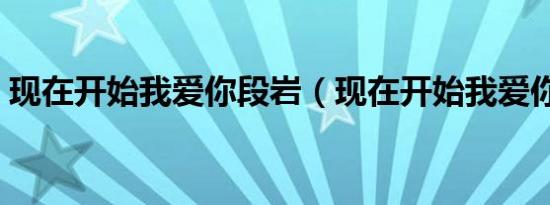 现在开始我爱你段岩（现在开始我爱你歌词）