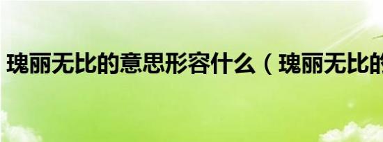 瑰丽无比的意思形容什么（瑰丽无比的意思）