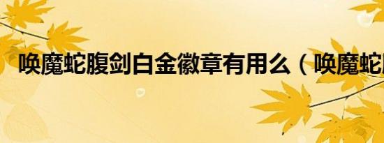 唤魔蛇腹剑白金徽章有用么（唤魔蛇腹剑）
