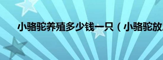 小骆驼养殖多少钱一只（小骆驼放屁）