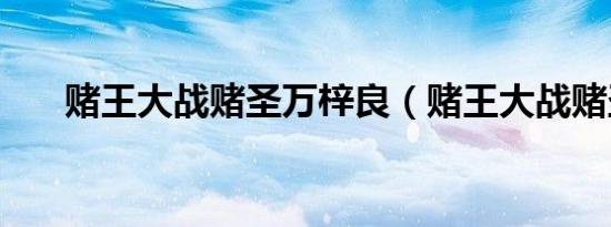 赌王大战赌圣万梓良（赌王大战赌圣）