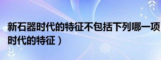 新石器时代的特征不包括下列哪一项（新石器时代的特征）