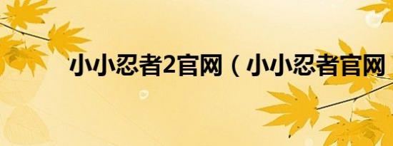 小小忍者2官网（小小忍者官网）