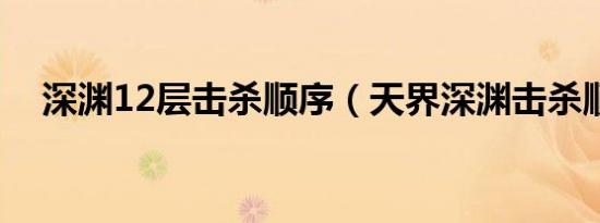 深渊12层击杀顺序（天界深渊击杀顺序）