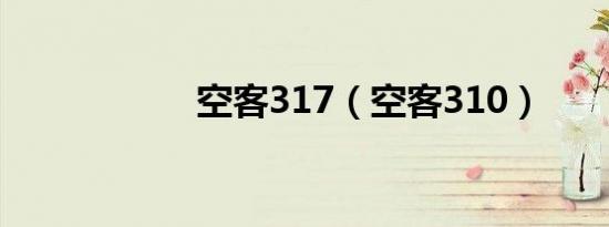 空客317（空客310）