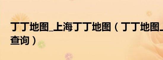 丁丁地图_上海丁丁地图（丁丁地图上海交通查询）