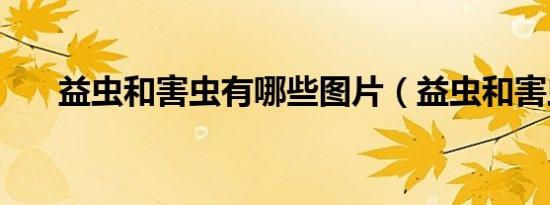 益虫和害虫有哪些图片（益虫和害虫）