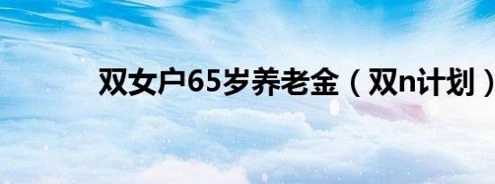 双女户65岁养老金（双n计划）