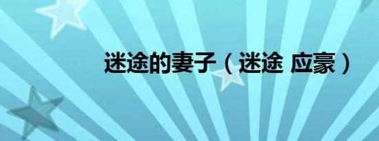 迷途的妻子（迷途 应豪）