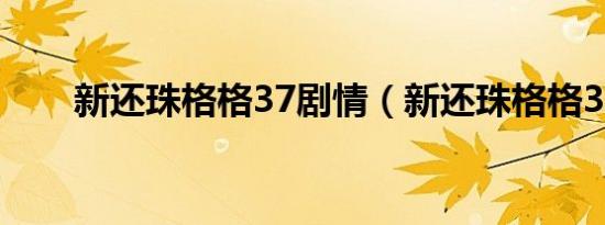 新还珠格格37剧情（新还珠格格32）