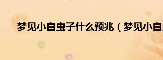 梦见小白虫子什么预兆（梦见小白鼠）