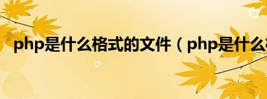 php是什么格式的文件（php是什么格式）