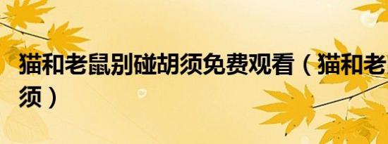 猫和老鼠别碰胡须免费观看（猫和老鼠别碰胡须）