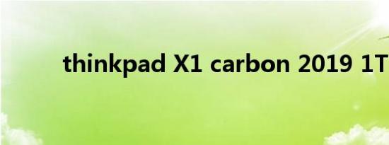 thinkpad X1 carbon 2019 1TB