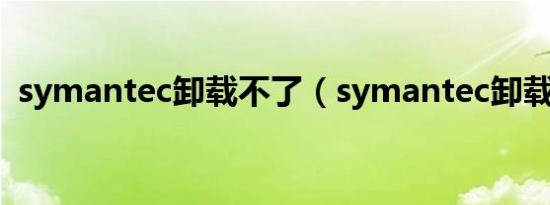 symantec卸载不了（symantec卸载密码）