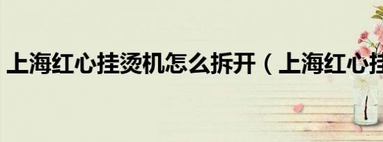 上海红心挂烫机怎么拆开（上海红心挂烫机）