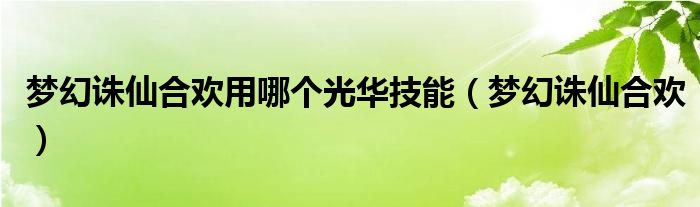 梦幻诛仙合欢用哪个光华技能（梦幻诛仙合欢）