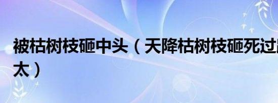 被枯树枝砸中头（天降枯树枝砸死过路六旬老太）
