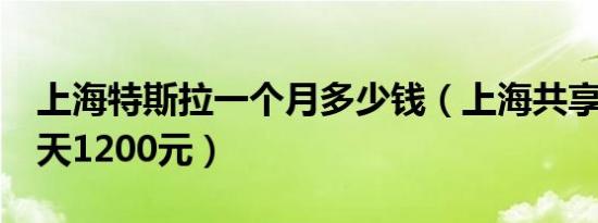 上海特斯拉一个月多少钱（上海共享特斯拉1天1200元）